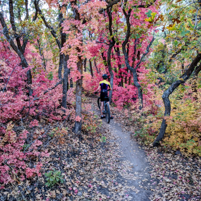 Rider on the trail during Tech & Trail Adventure